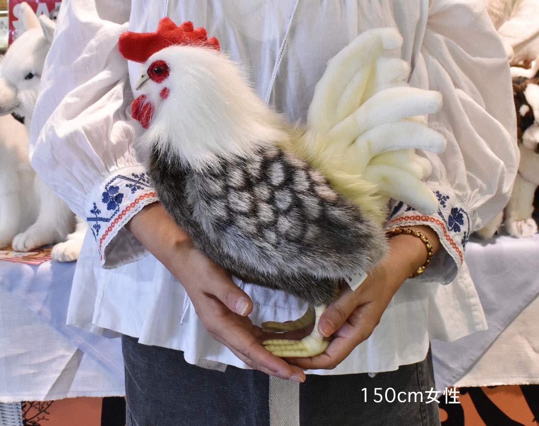 最終値下 HANSA メンドリ ぬいぐるみ 2匹 最終値下 HANSA メンドリ ぬいぐるみ 2匹 最終値下 HANSA メンドリ